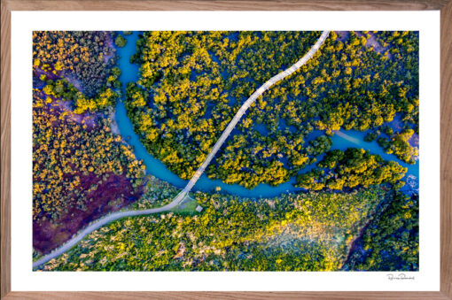 Swamp Track - Aerial Artwork